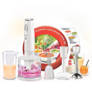 Mixeur plongeant 6EN1