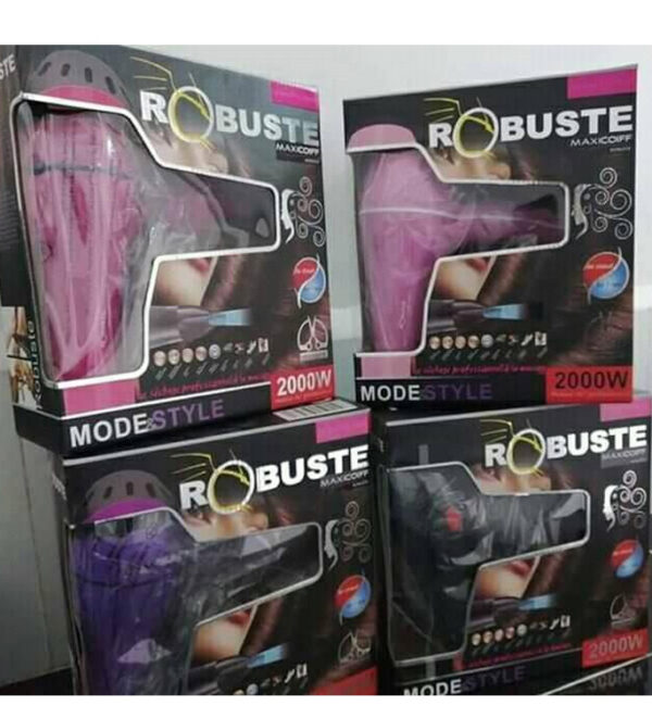 FRE Robuste Sèche cheveux professionnel