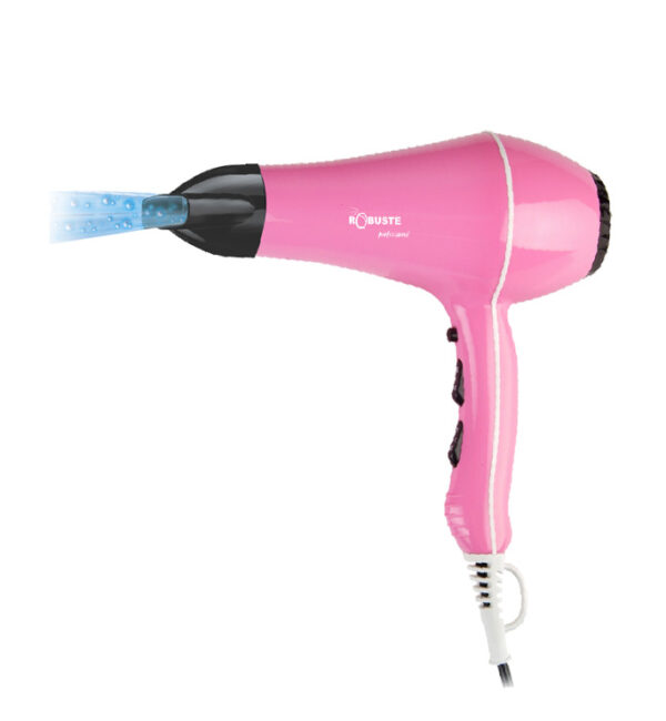 S2 Robuste Sèche cheveux professionnel