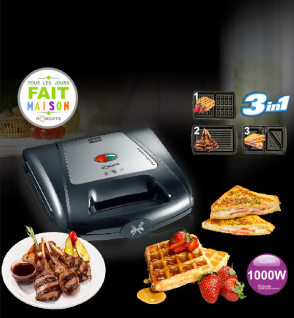 Grill 3en1 1000W ROBUSTE G2968