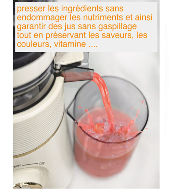 Extracteur de Jus BIO DRINK Robuste